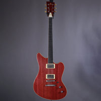Myr Instruments Elgitarr Myr Instruments Fjällvråken tgt11