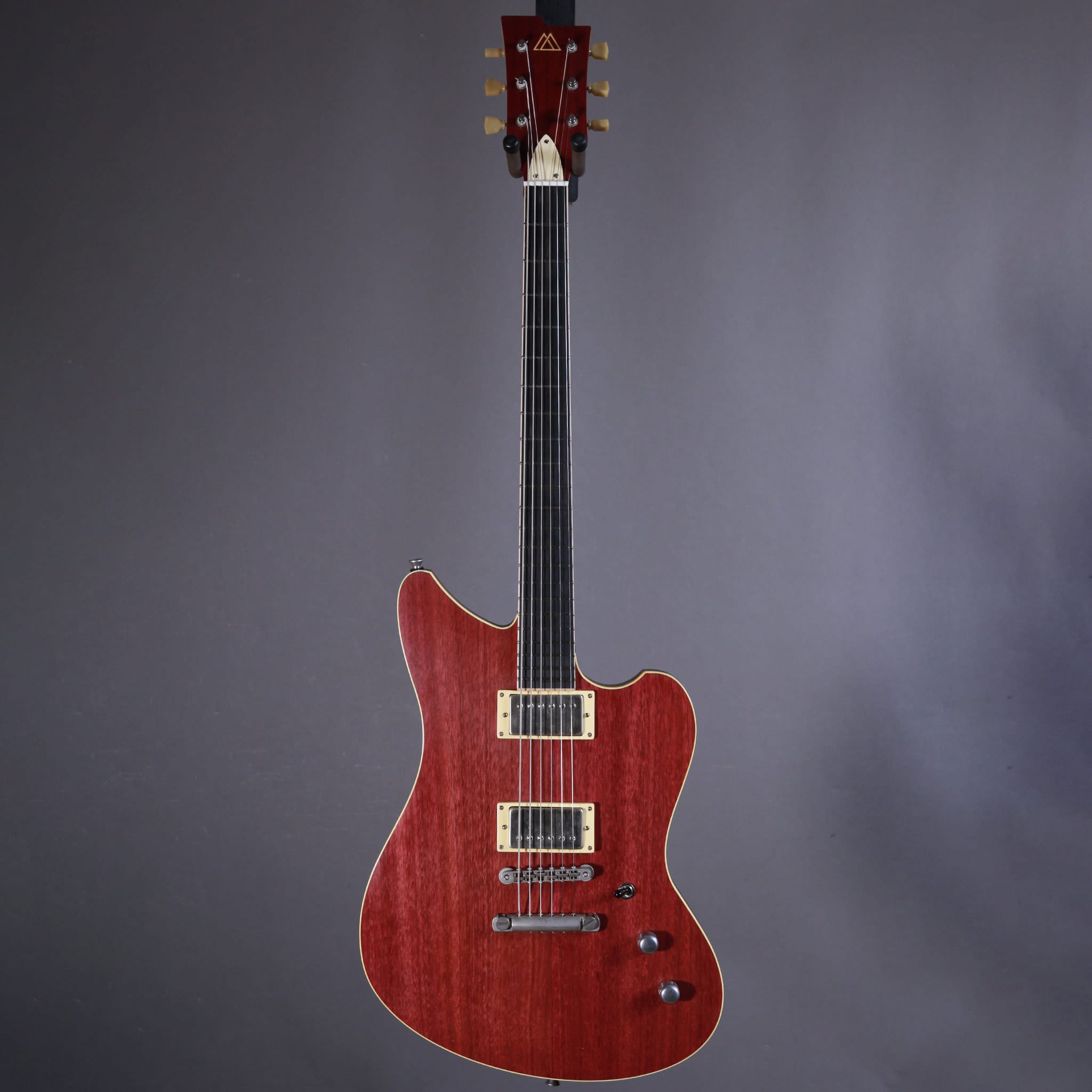 Myr Instruments Elgitarr Myr Instruments Fjällvråken tgt11