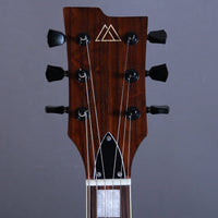 Myr Instruments Elgitarr Myr Instruments Storspoven/The Curlew Barn Door Special tgt11