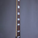 Myr Instruments Elgitarr Myr Instruments Storspoven/The Curlew Barn Door Special tgt11