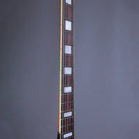 Myr Instruments Elgitarr Myr Instruments Storspoven/The Curlew Barn Door Special tgt11