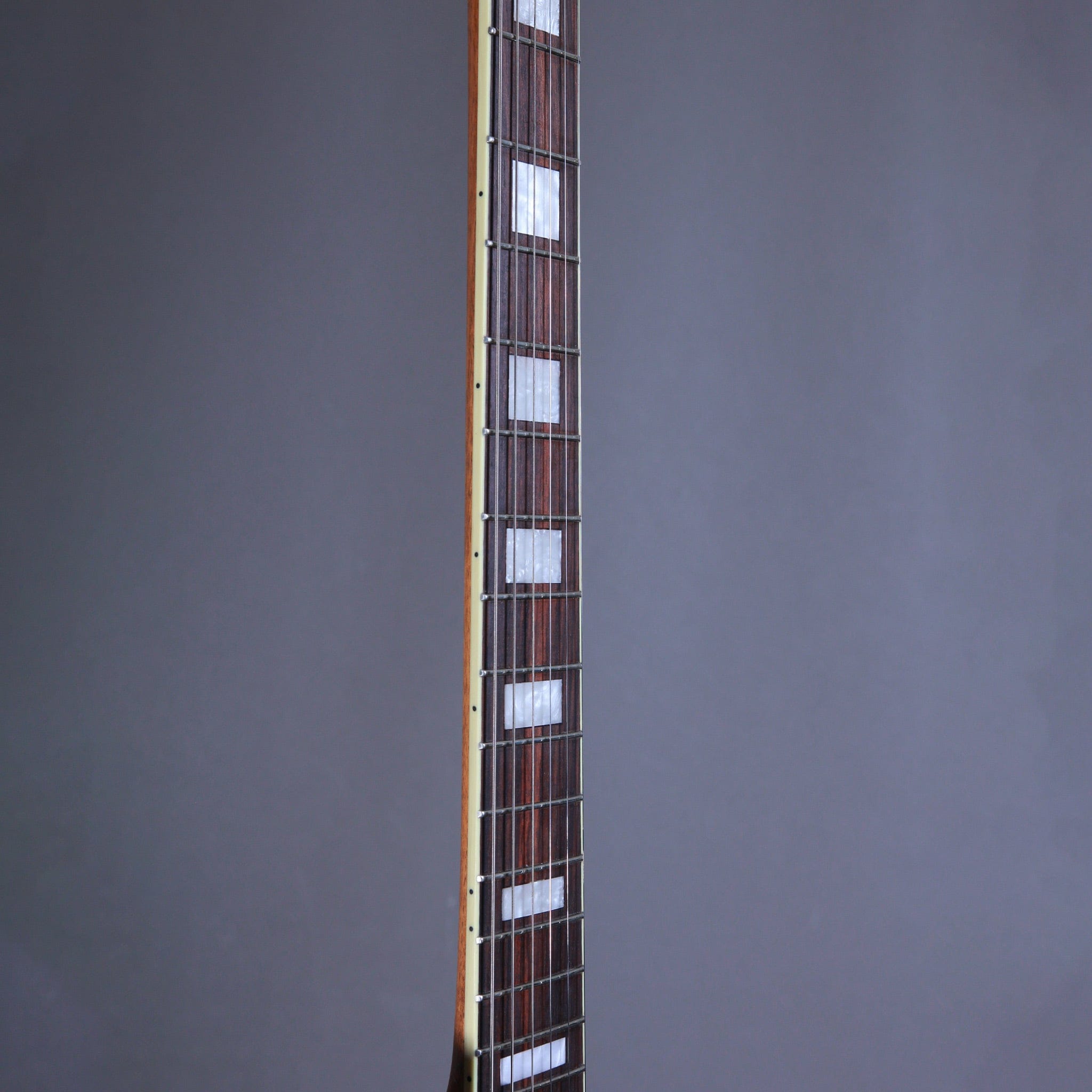Myr Instruments Elgitarr Myr Instruments Storspoven/The Curlew Barn Door Special tgt11