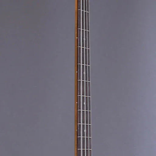NOVO Guitars Bas Novo Ivorus Bass Olympic White tgt11