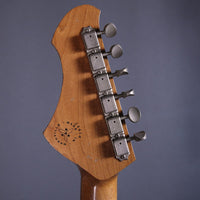 NOVO Guitars Stränginstrument Novo Nucleus Voltur J Gold Top Gold tgt11