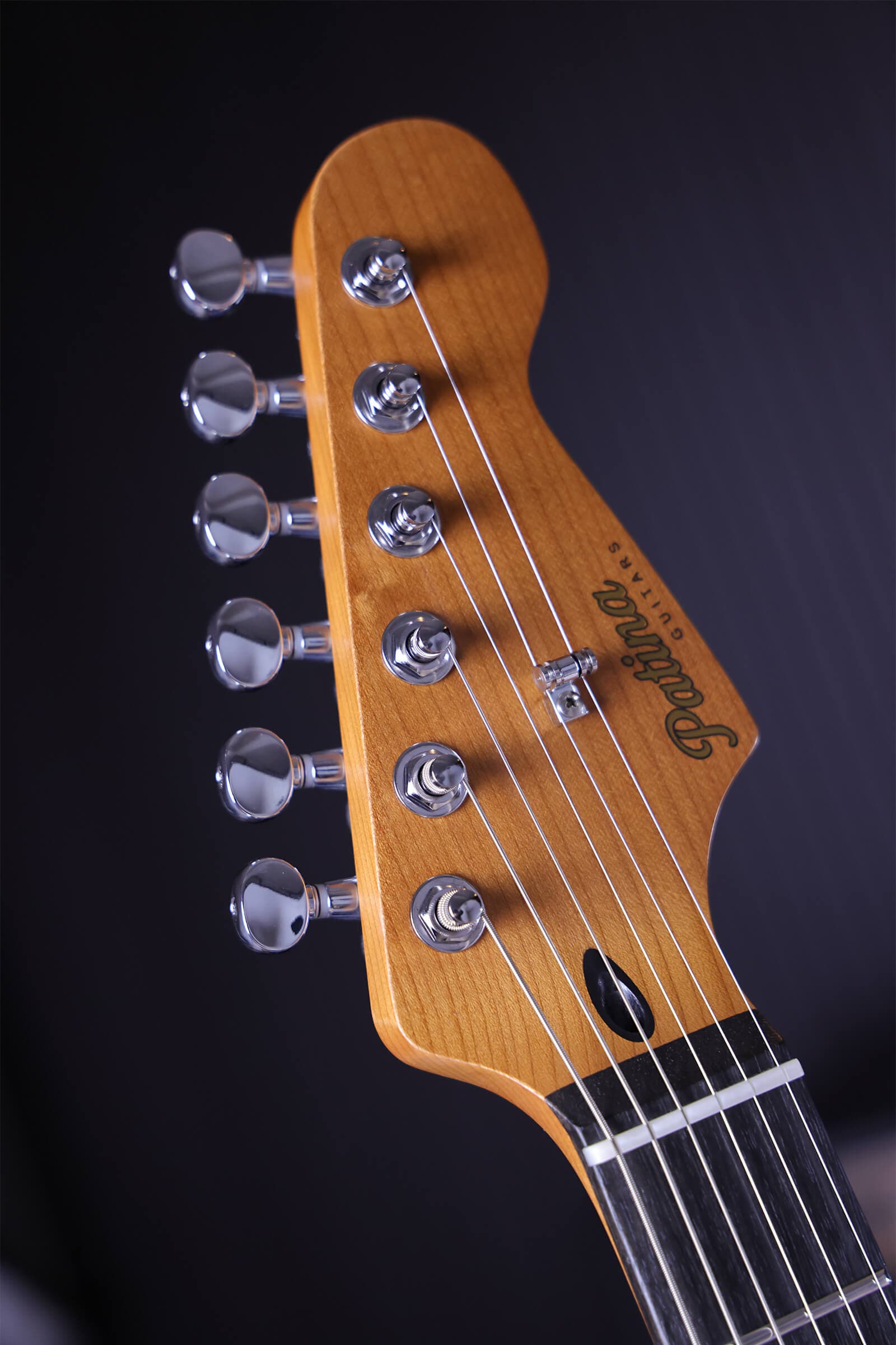 Patina Guitars Elgitarr Patina Guitars PS-4 Black tgt11