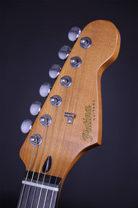 Patina Guitars Elgitarr Patina Guitars PS-6 Sherwood Green Relic tgt11
