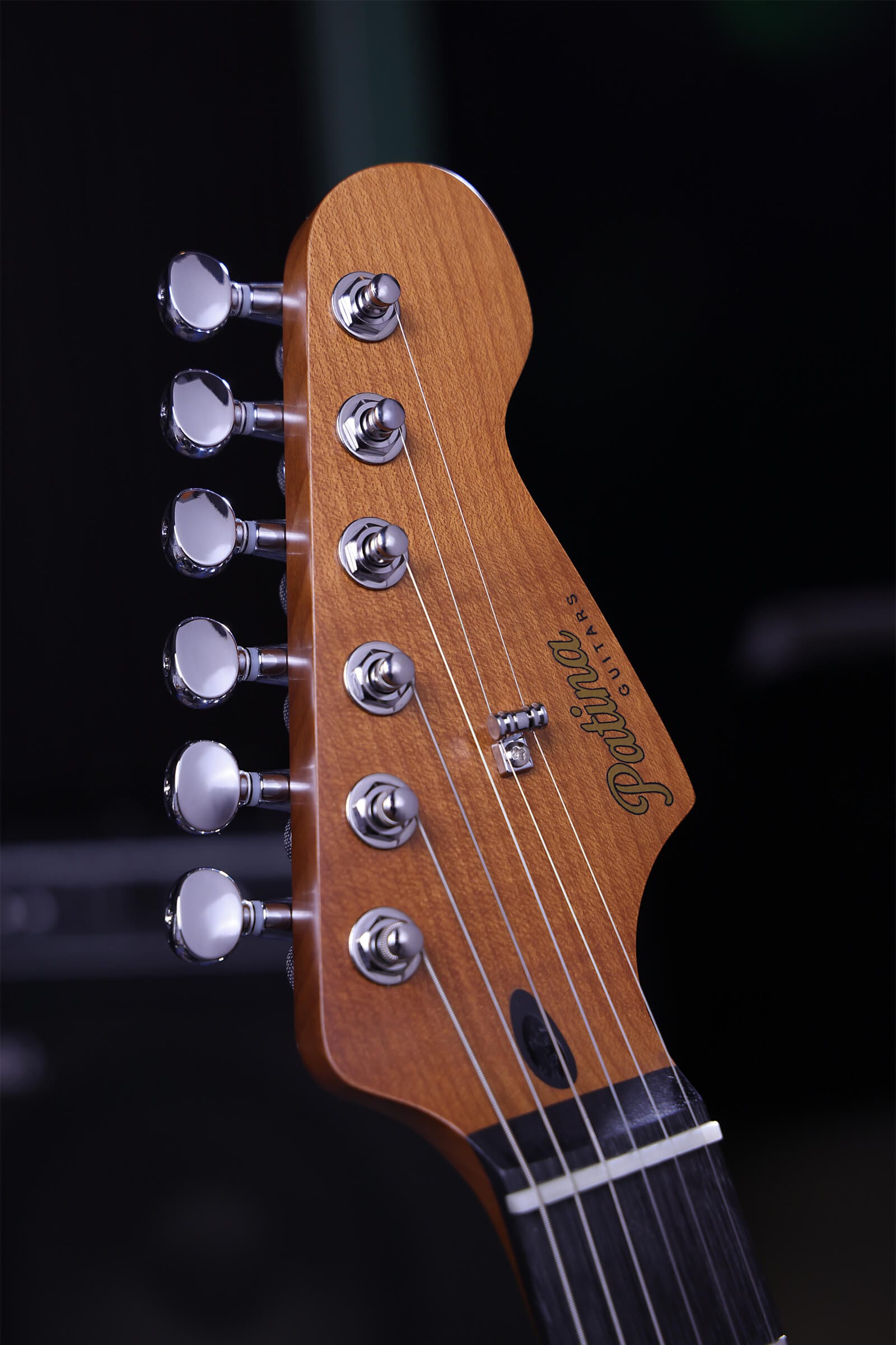 Patina Guitars Elgitarr Patina Guitars PT-6 Sherwood Green Relic tgt11
