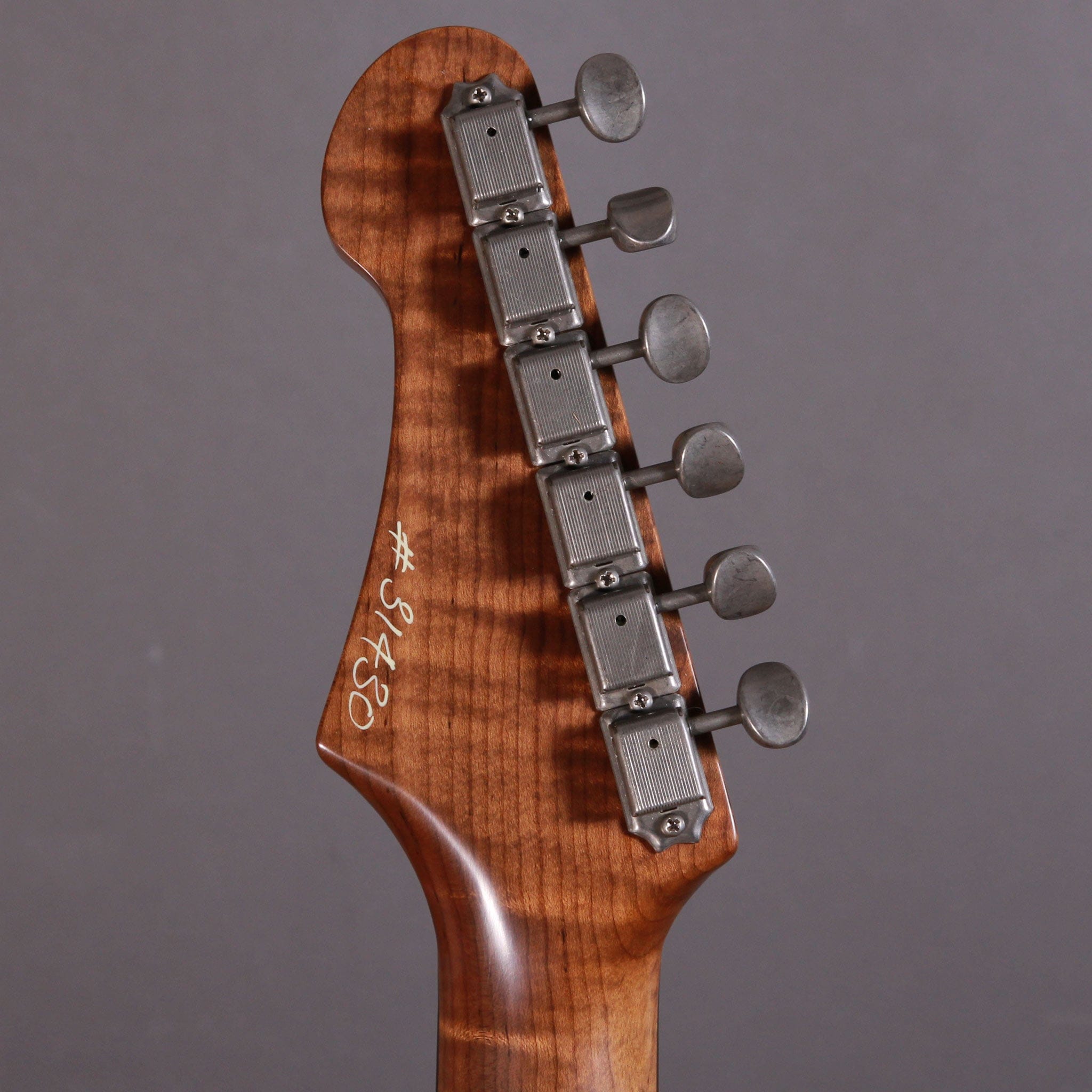 Patrick James Eaggle Elgitarr Patrick James Eggle Oz Cabronita tgt11