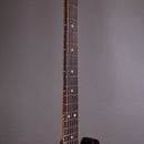 Patrick James Eaggle Elgitarr Patrick James Eggle Oz Cabronita tgt11