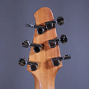Powers Electric Stränginstrument Powers Electric A-Type Cosmo Orange CamTail tgt11