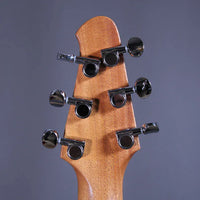 Powers Electric Stränginstrument Powers Electric A-Type Cosmo Orange CamTail tgt11