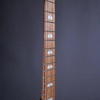 Powers Electric Stränginstrument Powers Electric A-Type Cosmo Orange CamTail tgt11