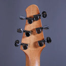 Powers Electric Stränginstrument Powers Electric A-Type Solana Sunset CamTail tgt11