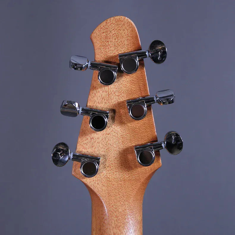 Powers Electric Stränginstrument Powers Electric A-Type Solana Sunset CamTail tgt11