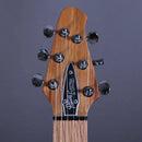 Powers Electric Stränginstrument Powers Electric A-Type Solana Sunset CamTail tgt11