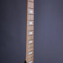 Powers Electric Stränginstrument Powers Electric A-Type Solana Sunset CamTail tgt11