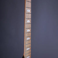 Powers Electric Stränginstrument Powers Electric A-Type Solana Sunset CamTail tgt11