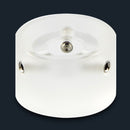 Barefoot Buttons V1 TALLBOY CLEAR