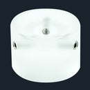 Barefoot Buttons V2 TALLBOY CLEAR