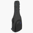 Reunion Blues Stränginstrument Reunion Blues Continental Expedition Semi/Hollow Body Electric Guitar Case tgt11