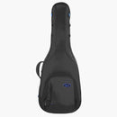 Reunion Blues Stränginstrument Reunion Blues Continental Expedition Semi/Hollow Body Electric Guitar Case tgt11