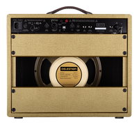 Revv Amps Förstärkare Revv - D25 Joey Landreth Edition Gold tgt11