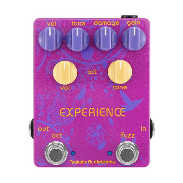 Tsakalis Audioworks Experience Fuzz Octave
