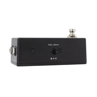 Walrus Audio CANVAS Tuner