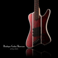 Dingwall D-Roc Custom
