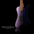 Dingwall D-Roc Standard