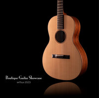 R Robinson Guitars Model 10
