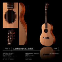 R Robinson Guitars Model 10