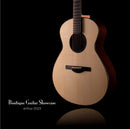 Dion Guitars Steel String Acoustic