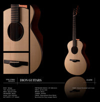 Dion Guitars Steel String Acoustic