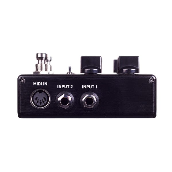 Source Audio Delayer Source Audio Encounter Ambient Delay & Reverb tgt11