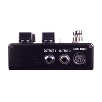 Source Audio Delayer Source Audio Nemesis Delay MKII ADT tgt11