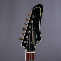 Springer Guitars Elgitarr Springer Guitars Firehawk Black / Gold tgt11