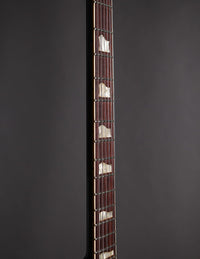 Springer Guitars Stränginstrument Springer Guitars Seraph VNS Honey Sunburst tgt11