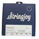 Stringjoy Signatures | Custom Ariel Posen (17-64) Nickel Wound Electric