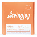 Stringjoy Stränginstrument Stringjoy Foxwoods | Light (12-54) Coated Phosphor Bronze Acoustic Guitar tgt11