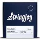 Stringjoy Stränginstrument Stringjoy Signatures Balanced Custom Heavy 15-58 tgt11