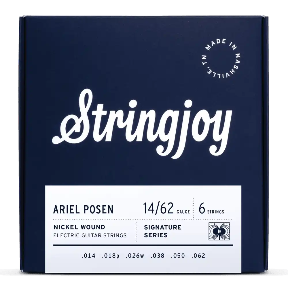 Stringjoy Stränginstrument Stringjoy Signatures | Custom Ariel Posen (14-62) Nickel Wound Electric tgt11
