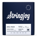 Stringjoy Stränginstrument Stringjoy Signatures | Custom Ariel Posen (14-62) Nickel Wound Electric tgt11