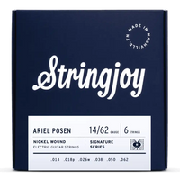 Stringjoy Stränginstrument Stringjoy Signatures | Custom Ariel Posen (14-62) Nickel Wound Electric tgt11