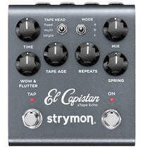 Strymon Delayer Strymon El Capistan dTape Delay V2 tgt11