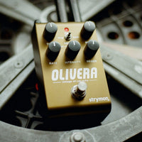 Strymon Delayer Strymon Olivera tgt11