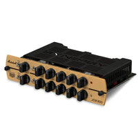 Synergy Förstärkare Elgitarr Synergy Module Marshall JCM800 tgt11
