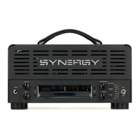 Synergy Förstärkare Synergy SYN-20IR 20-watt Amplifier Head - No Module Included tgt11