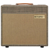 Synergy Förstärkare Synergy SYN-20IR Combo 1x12 Driftwood / Cane tgt11