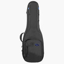 Reunion Blues Continental Expedition Double Electric Guitar Case